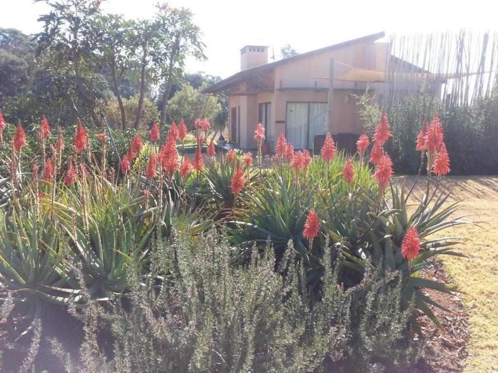 Ama Casa Cottages Champagne Valley Εξωτερικό φωτογραφία