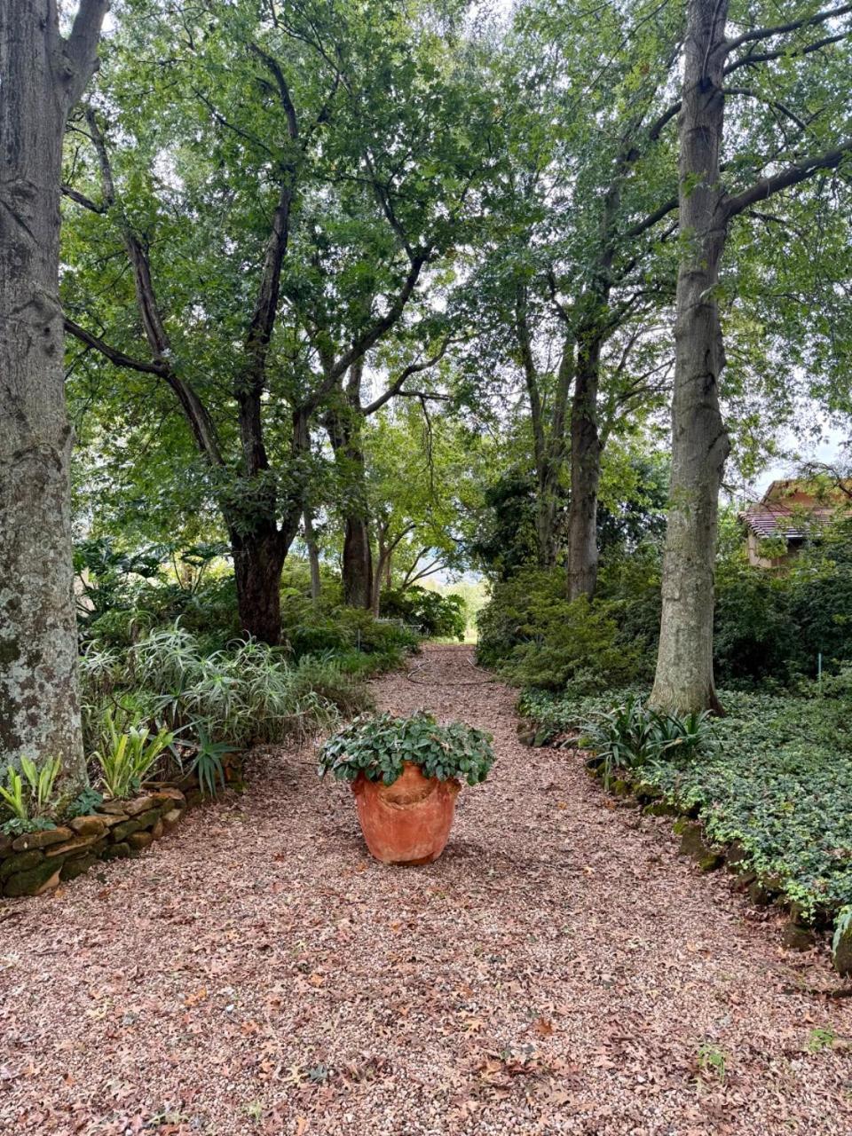 Ama Casa Cottages Champagne Valley Εξωτερικό φωτογραφία